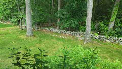 25 Ridley Rd, Dedham, MA 02026 photo 13