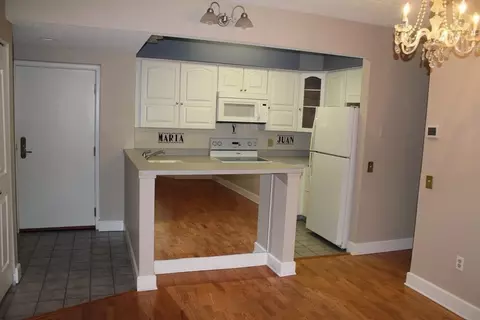 34 Sumner Ave #403, Springfield, MA 01108 photo 4