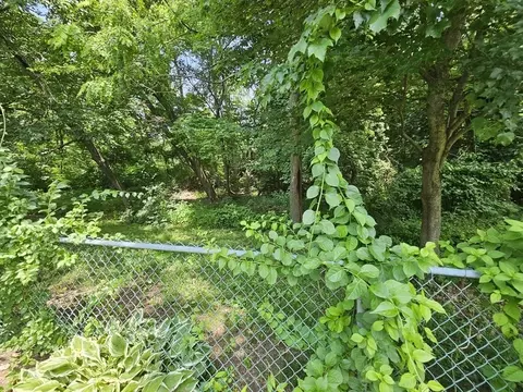 260 Roy St, Springfield, MA 01104 photo 30