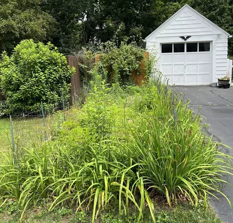 12 Fallston St, Springfield, MA 01119 photo 37