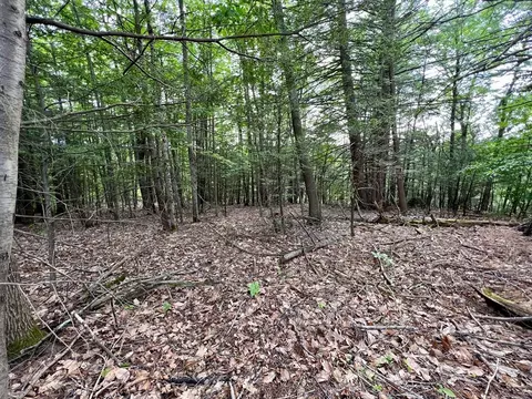 0 George Lamb Rd, Leyden, MA 01337