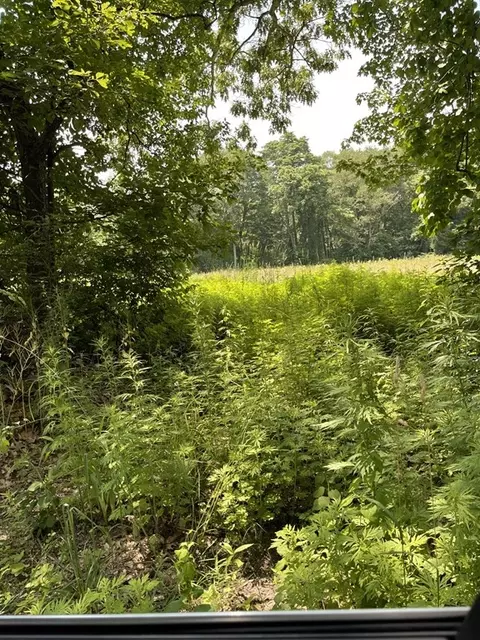 200- Lot3 Pine St, Rehoboth, MA 02769