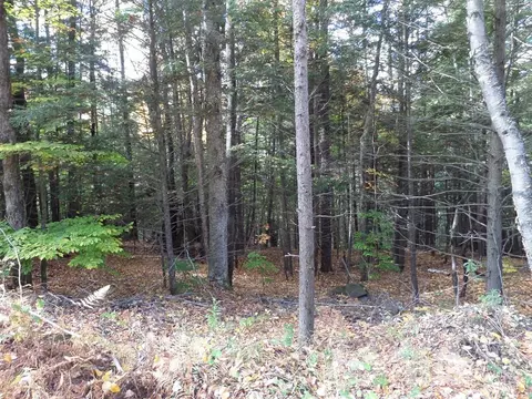 0 Thayer Hill Rd, Worthington, MA 01098