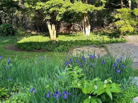 11 Laurel Rd, Brookline, MA 02467 photo 18
