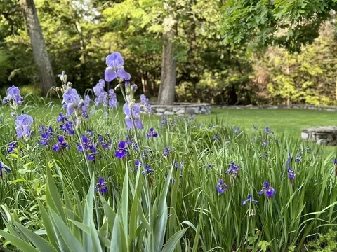 11 Laurel Rd, Brookline, MA 02467 photo 19