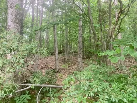 lot5 Richardson Rd, Ashby, MA 01431