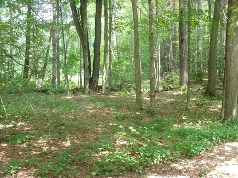 5 Valley View Rd, Williamsburg, MA 01096 photo 3