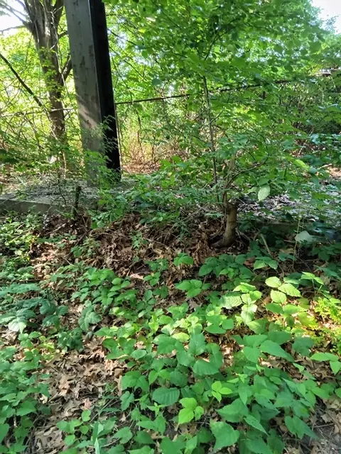 2 Anniversary Road, Holyoke, MA 01040