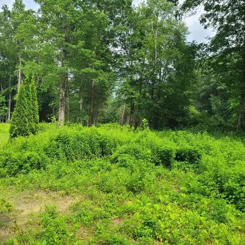 1 Morgan Street, Granby, MA 01033