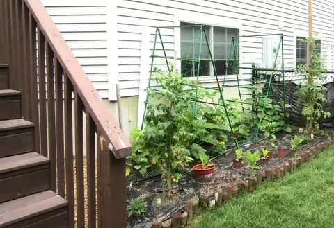 21 Honeysuckle Rd, Worcester, MA 01607 photo 5