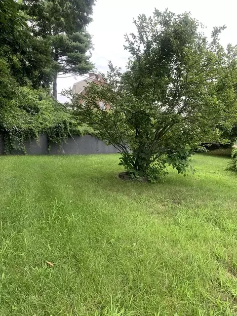 12 Bingham Ave, Dedham, MA 02026 photo 16