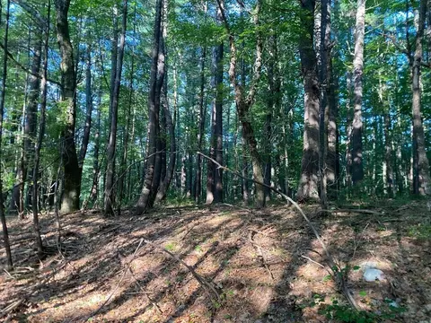 79 Ann Lee Rd, Harvard, MA 01451