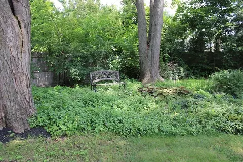 71 Fenway Dr, Springfield, MA 01119 photo 31