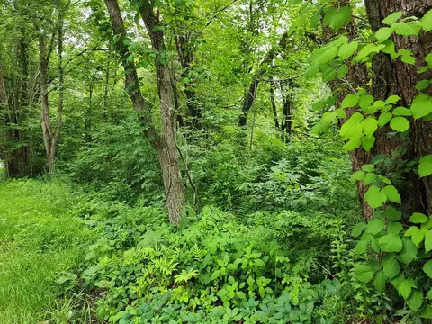 Lot 3.1 Warren Road, Brimfield, MA 01010
