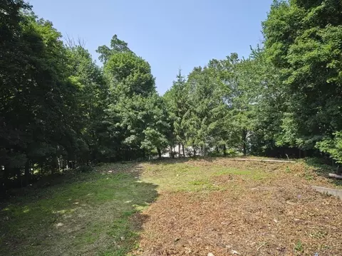 273 Mower St, Worcester, MA 01602 photo 4
