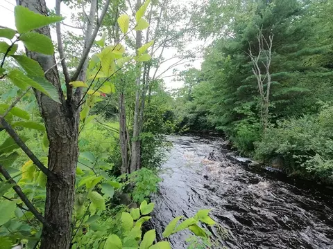 26 Templeton Homes For Sale & Templeton, MA Real Estate - Movoto