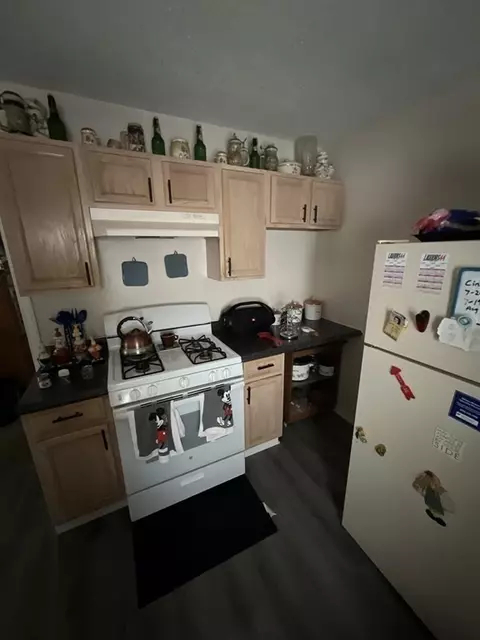 27 Briggs St, Springfield, MA 01151 photo 8