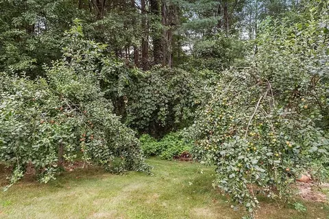 3 Samuels Ln, Sterling, MA 01564 photo 33