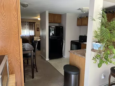 33 Merrill Rd, Springfield, MA 01119 photo 11