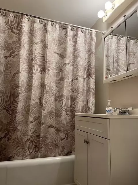 33 Merrill Rd, Springfield, MA 01119 photo 15