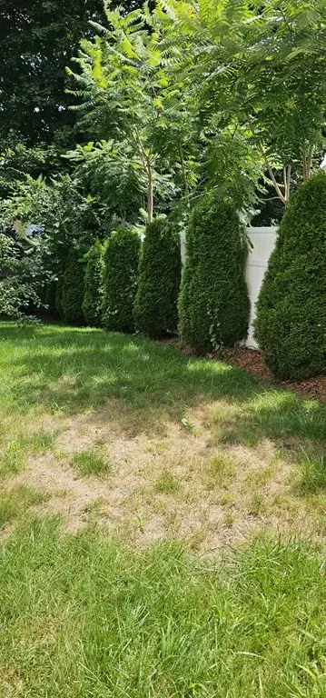 8 Paris Ave # a, Worcester, MA 01603 photo 30