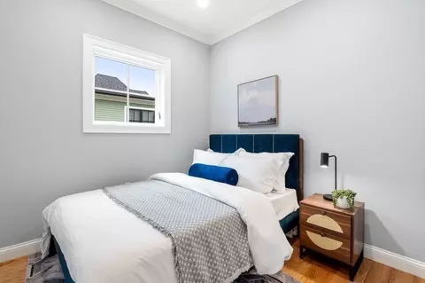 30 Naples Rd #2, Brookline, MA 02446 photo 25