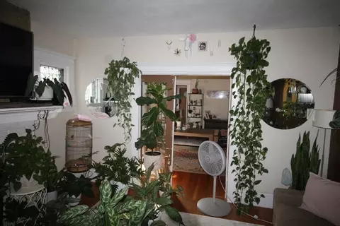 50 Riverview St, Springfield, MA 01108 photo 9