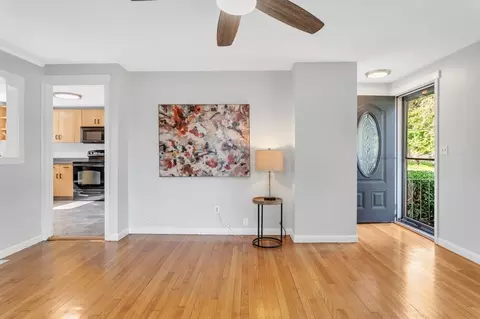 56 Louis, Springfield, MA 01118 photo 5