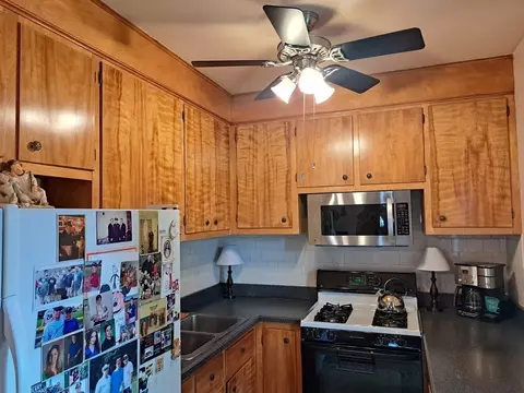 185 Orient St, Worcester, MA 01604 photo 16
