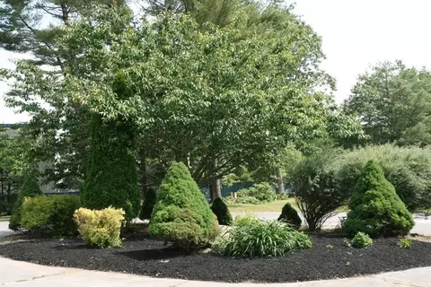 3 Beverlys Way, Wareham, MA 02571 photo 26