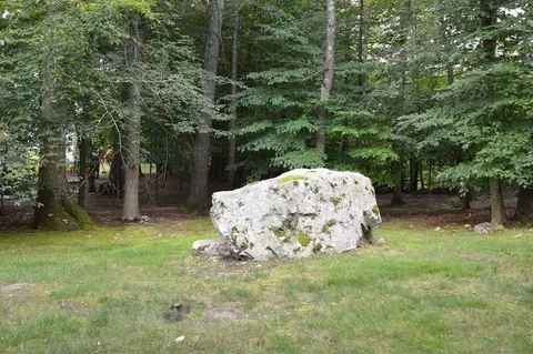 12 Pine Vw #12, Millis, MA 02054 photo 29