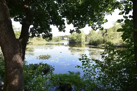 4 Forge Pond #D, Canton, MA 02021 photo 8