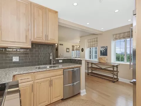 20 Chapel St #C1005, Brookline, MA 02446 photo 10