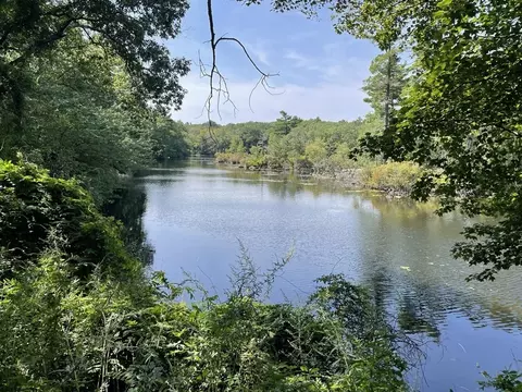 262 265 Meadowbrook Rd, Dedham, MA 02026 photo 6