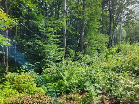 80 Sandy Cove Rd, Lunenburg, MA 01462