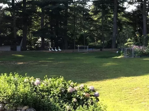 435 Main St, Acushnet, MA 02743 photo 29