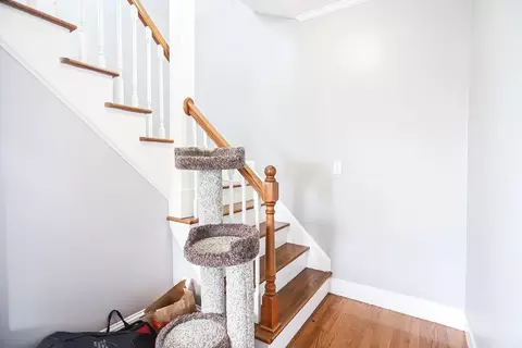 7 Forest Ave, Everett, MA 02149 photo 15