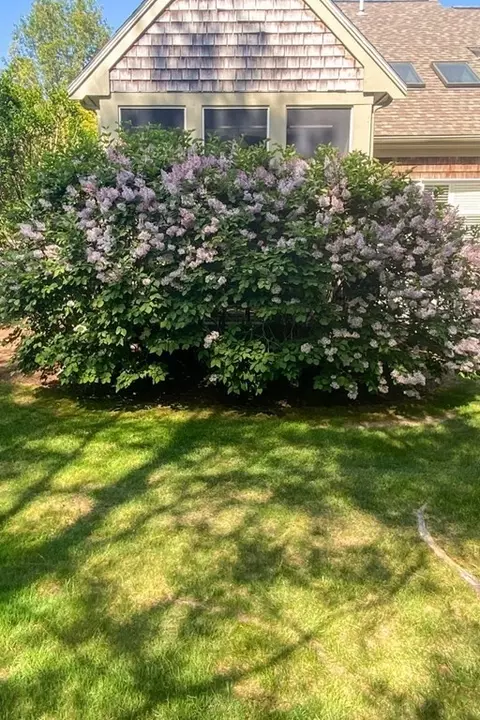 32 Windsor Pt, Mashpee, MA 02649 photo 37