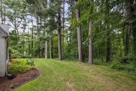 106 Windsor Rd, Needham, MA 02492 photo 35