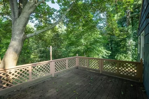 162 Marmon St, Springfield, MA 01129 photo 29