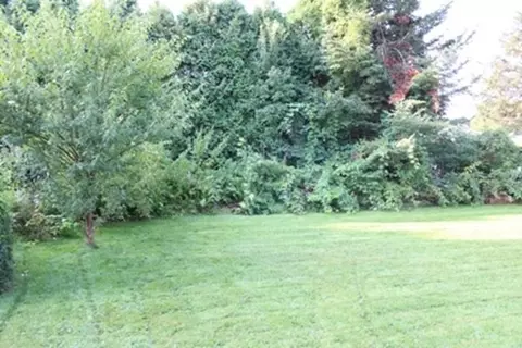 55 Bennett St, Chicopee, MA 01013 photo 16