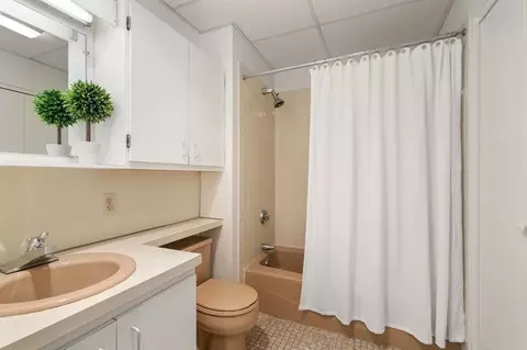 109 Centre St #B, Brookline, MA 02446 photo 10