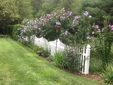 30 Meadow Rd, Ware, MA 01082 photo 25