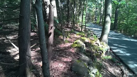 0 Avery Brook Rd, Heath, MA 01346 photo 3