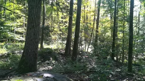 0 Avery Brook Rd, Heath, MA 01346 photo 5
