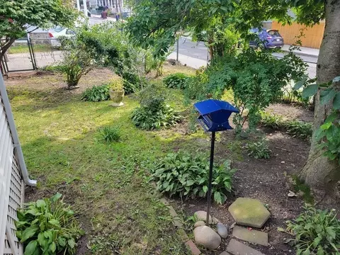 128 Bell Rock St, Everett, MA 02149 photo 30
