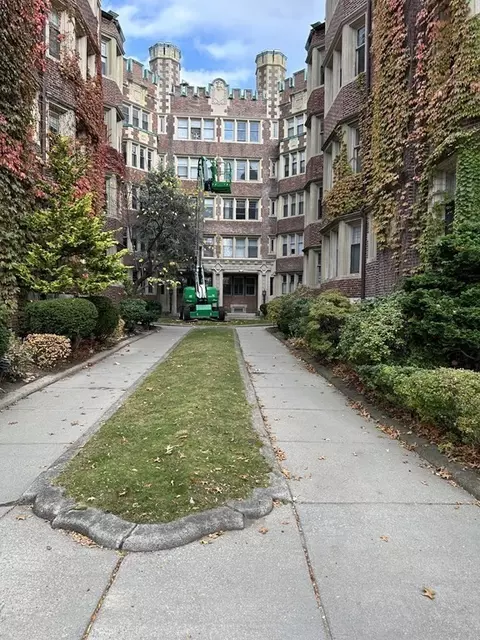 10 Dana St #7, Cambridge, MA 02138
