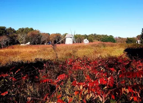 155 Far Fields Rd, Brewster, MA 02631 photo 35