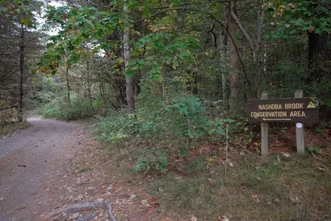 6 Winterberry Path #6, Acton, MA 01720 photo 23