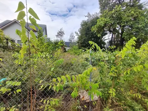 W S Logan St, Springfield, MA 01109